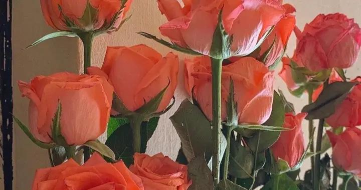 年終歲末：人生本過客，在紅塵中，平淡，安然