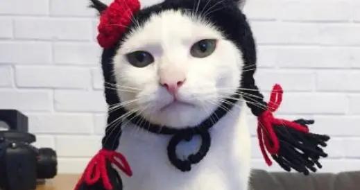 12個壓箱底的爆笑幽默笑話，個個笑點拉滿，快發朋友圈笑死你朋友