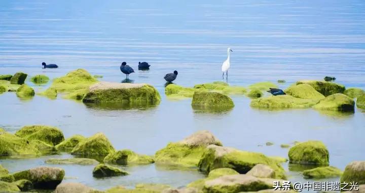 中國一個奇葩姓氏，僅3筆，卻很少有人讀對，還難倒過一位皇帝