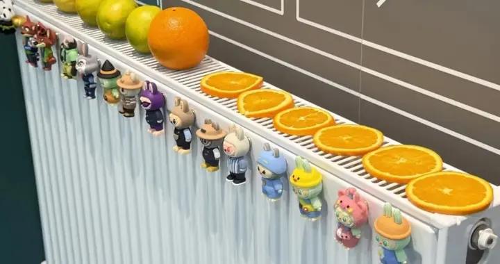 被網友家的5個暖氣片用法折服了，思路打開後，比地暖還香