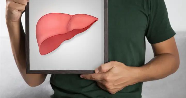 肝衰老會向全身傳播？英科學家研究登《Nature》，降脂清肝這樣做