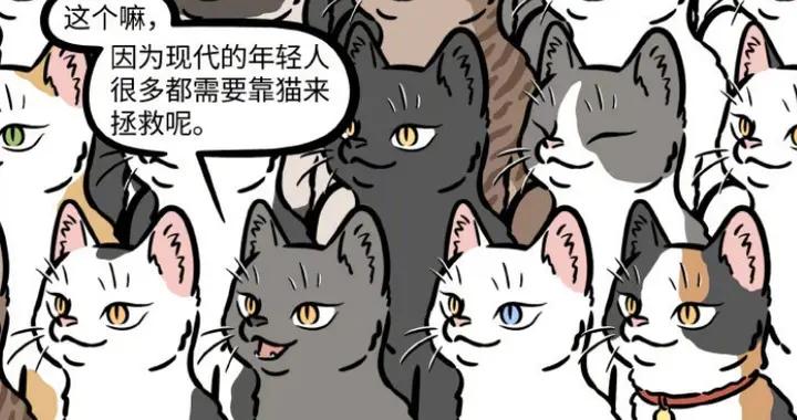 大士化身貓咪潛入楊戩咖啡店，三眼哥口嫌體正直，拆穿心意變傲嬌