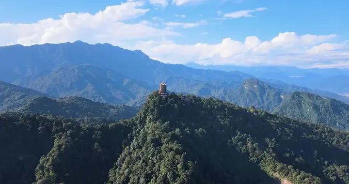 頸椎疼痛，按、捏、揉、撥4種手法，鬆解肌肉、通絡活血