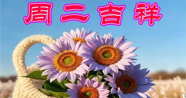 願你每天都有好心情，幸福安康，快樂常伴！早吖