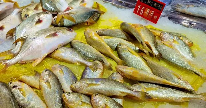 大補的魚，不是帶魚和鯽魚，而是這3種魚，常喫補腦益智強免疫！