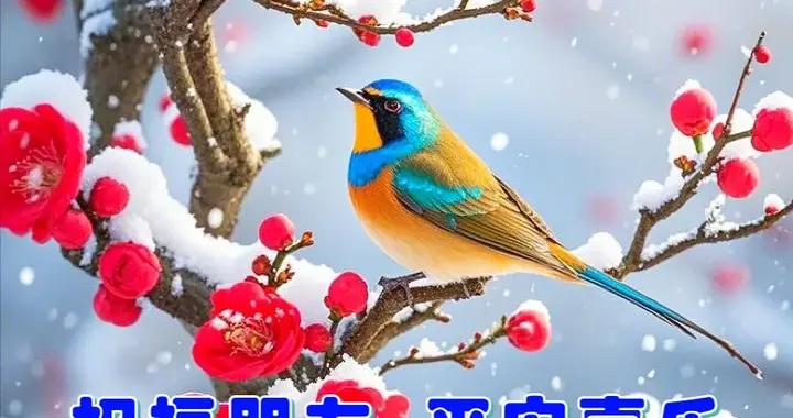 天氣寒冷，記得添衣，注意防寒保暖，保重身體！