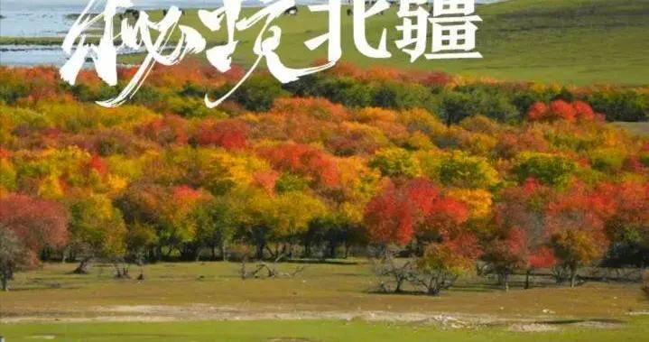 出遊便捷又有趣 數智賦能內蒙古