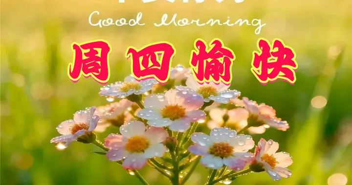 週四早安圖片|與人相交多包容，讓步三分別較真