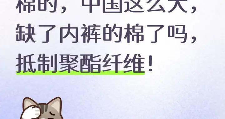 用了幾十年的聚酯纖維，是怎麼在互聯網塌房的？