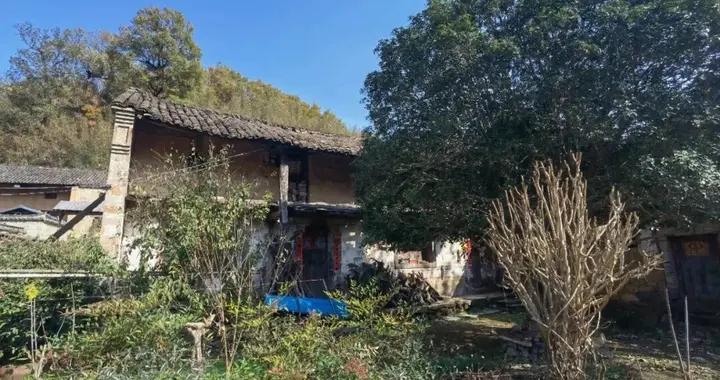 【風土記】霜露既降丨文匯筆會