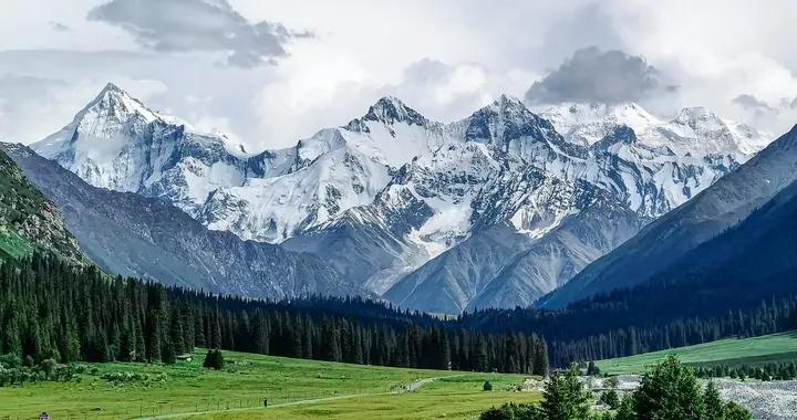 做優做強“新興的戰略性支柱產業”