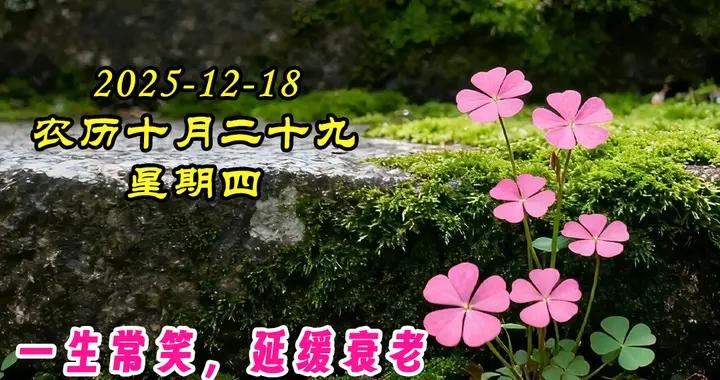 週四早安美圖|冬到深處寒流來，只有問候暖心懷。