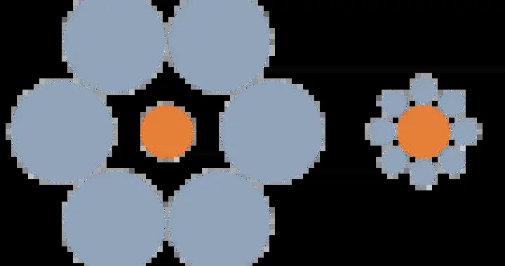 貓坐進不存在的箱子，鳥靠鵝卵石談戀愛……視錯覺受害者大集合！