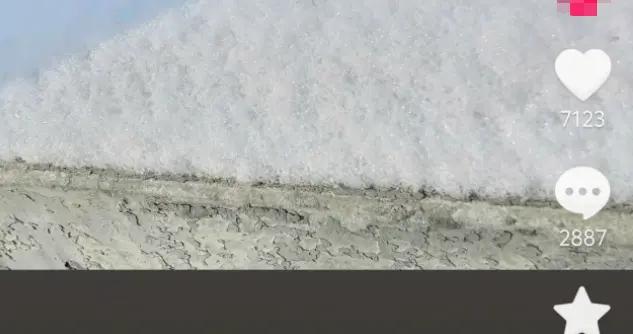 北京雪地驚現蚊子爬行，蚊子出現抗寒性了？