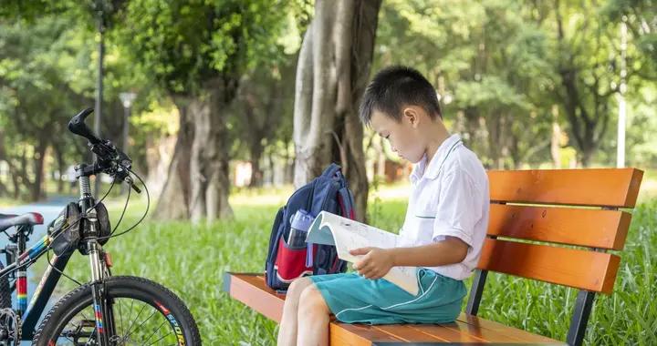 回憶錄·嶺路漫漫讀書聲