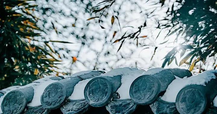 面部起皮、手足乾燥，冬季各種“幹”如何調理？