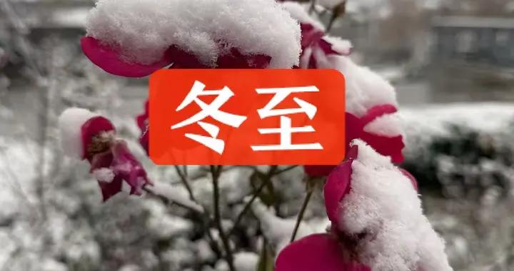 “冬至不養陽，一年都白忙”，12月21日冬至，有錢沒錢多喫這4樣