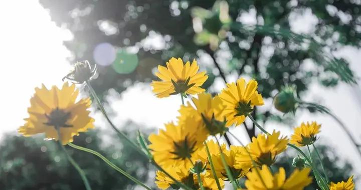 口氣問題，盲目清火恐傷脾胃，中醫教您應對