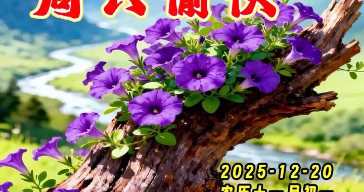 週六早安圖片|這個冬天，願陽光溫暖，幸福平安