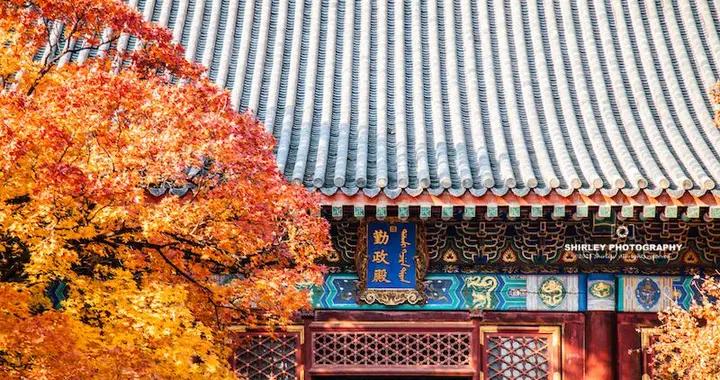 復建等級最高、單體建築最大！北京4座勤政殿，只有這座可參觀