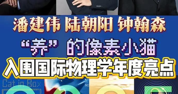 會玩！中國科學家“擼”的這隻“貓”，入選2025全球物理學年度亮點