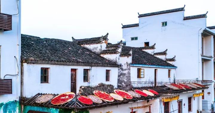 藍冠噪鶥成爲石門古村文旅IP