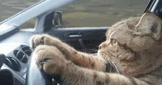 請教各位車友：越“硬”就越安全嗎？