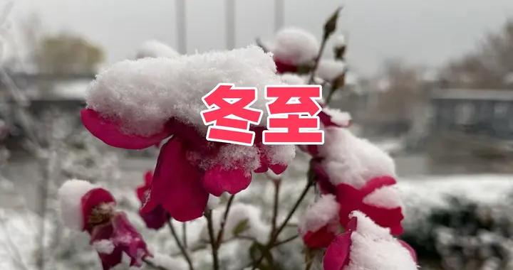 12月21冬至，別忘：喫3肉喝2湯做1事，養精蓄銳，爲數九做好準備