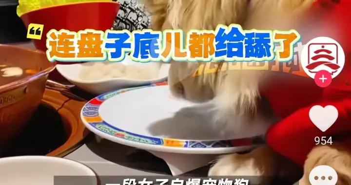 “我該怎麼誇它呢？”女子發視頻還配文：連盤底都舔了！網友直呼太過分，最新回應