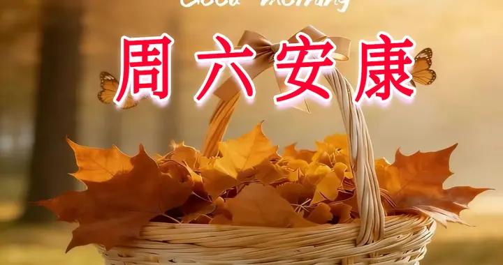 週六早安問候圖片|歲歲常歡愉 萬事皆勝意