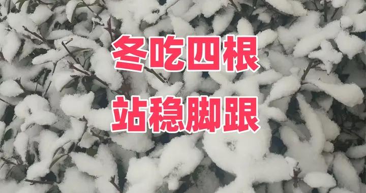 “冬喫四根，站穩腳跟”，原來竟是這4根？抵禦寒氣又滋補