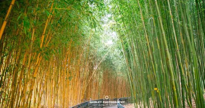 北京知名分手聖地，清朝皇室卻青睞有加，還在這打造了行宮