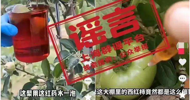 煮完青菜和茄子，湯水變綠了，是不是菜被染色了？沒想到，一個動作能變粉紅色