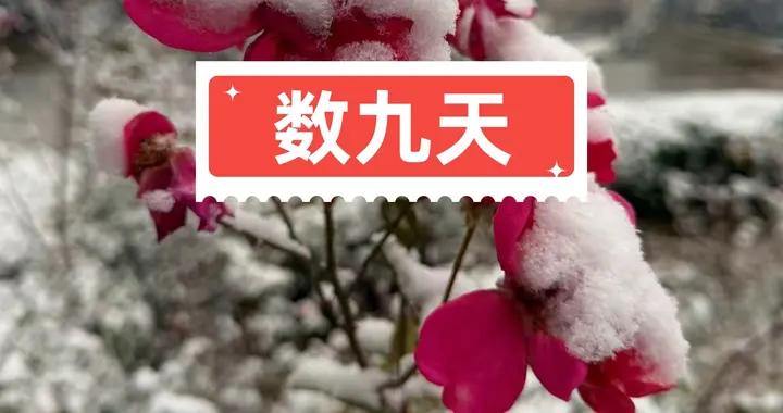 進入數九天，提醒大家“養冬”，別忘做3事、喫3樣，順利過寒冬！