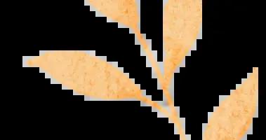 加強中醫藥戰略研究的三重邏輯