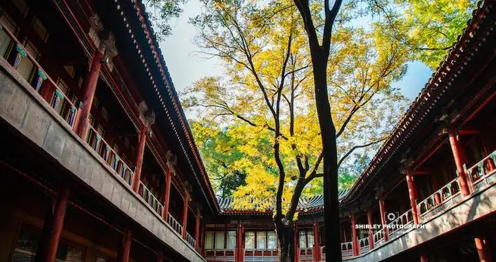 北海公園裏的8大祕境，其中一處每週只開2小時，全都去過的厲害了