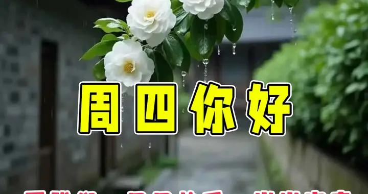 週四早安圖片|感恩才能擁有，珍惜纔會天長地久，感恩朋友