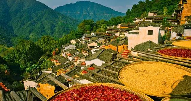 來江西鄉村 做幾日愜意“村民”