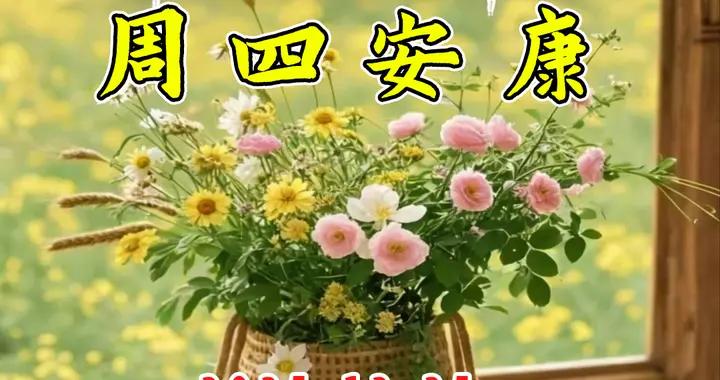 週四早安|年歲漸長，多了從容坦蕩；日子向前，告別糾結遺憾