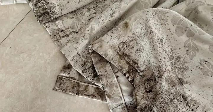 越來越多人不裝窗簾，看看年輕人新裝法，高級美觀還不透影子