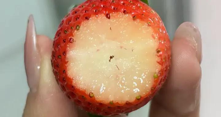 拼xx果真不騙我（12月-1月，好喫、必喫應季水果分享）