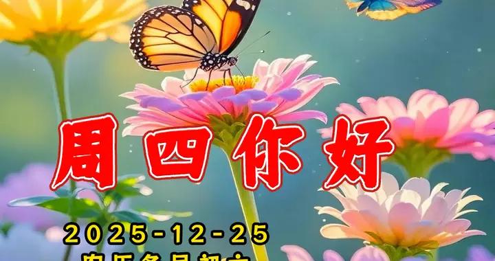 週四早安圖片|不憂風霜，不懼寒涼，不慌不忙，慢慢變好