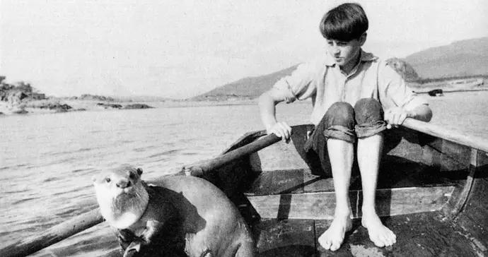 水獺、樹和鳥，於自然間重寫自我