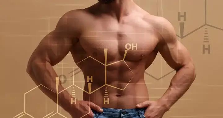 肌肉合成 VS 分解：搞懂這層關係，再也不怕練完 “白忙活”