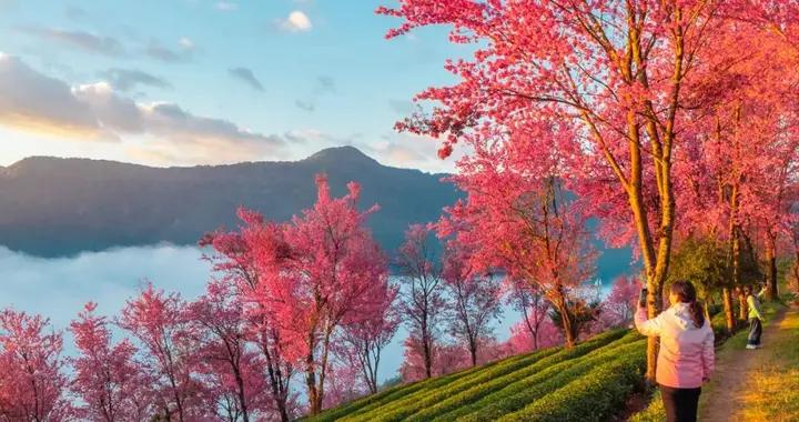 均溫25℃，遊客僅大理1%！雲南這座小城，只有冬天纔會被想起