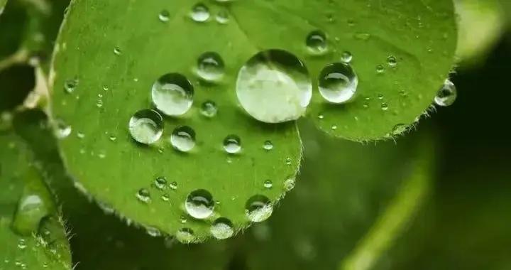 這些學術名詞，爲啥看起來這麼像在搞黃色？！