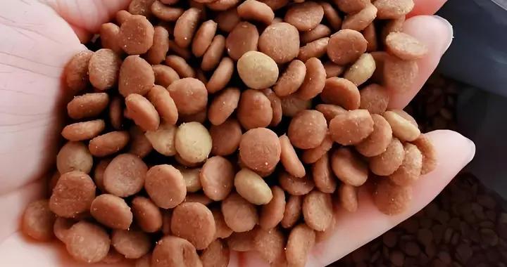 洛菲克狗糧怎麼樣？好不好？