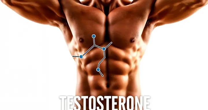 男人必看！3 個睾酮冷知識，知道得早練得猛，知道晚悔斷腸