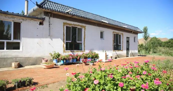 鋪磚的院子 | 唐新運