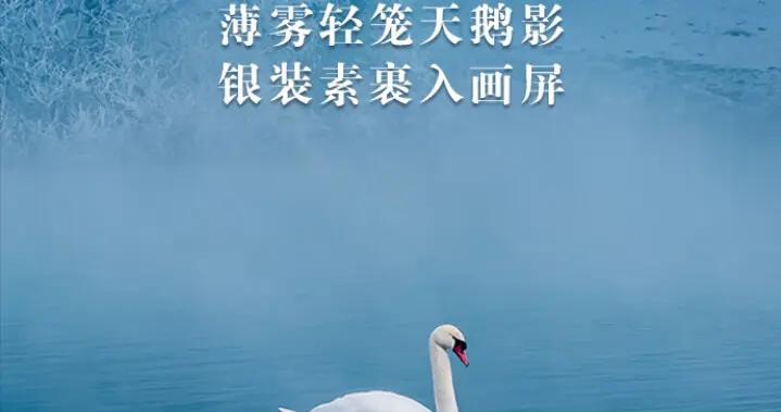 冬至丨冬日浪漫加載中！快把這些限定風光打包收藏